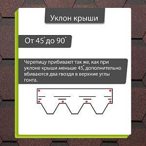Купить Бисквит в Хабаровске