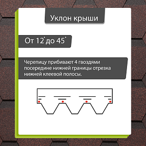 Купить Бисквит в Хабаровске