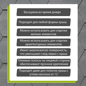 Купить Черника в Хабаровске