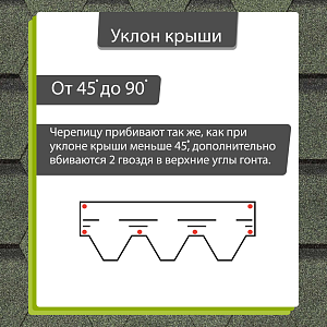 Купить Зелёный в Хабаровске