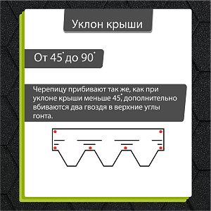 Купить Черный в Хабаровске