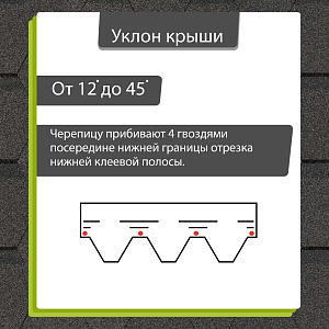 Купить Серый в Хабаровске
