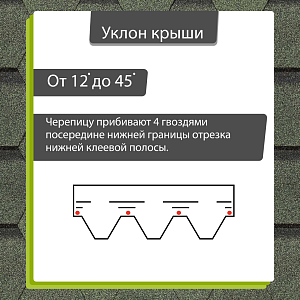 Купить Зелёный в Хабаровске