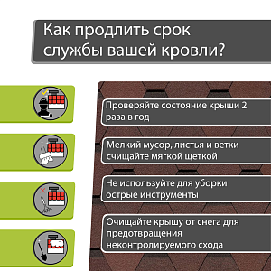 Купить Зрелый каштан в Хабаровске