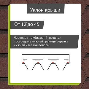 Купить Зрелый каштан в Хабаровске