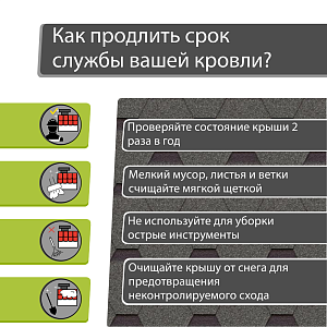 Купить Авокадо в Хабаровске