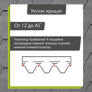 Купить Черника в Хабаровске