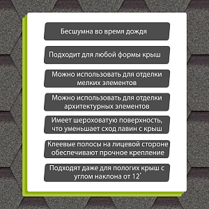 Купить Авокадо в Хабаровске