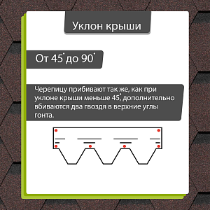 Купить Корица в Хабаровске