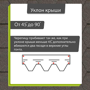 Купить Мокко в Хабаровске