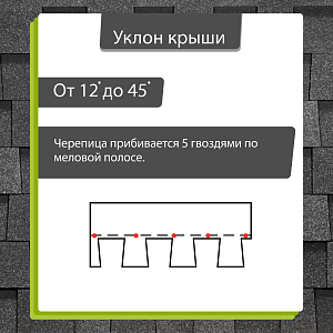 Купить Ламинированная черепица Docke PIE LUX DRAGON 2.38м2/уп Фладен в Хабаровске