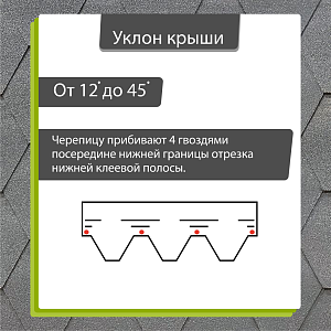 Купить Черника (снято с производства) в Хабаровске