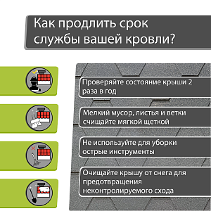 Купить Черника в Хабаровске