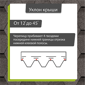 Купить Фладен в Хабаровске