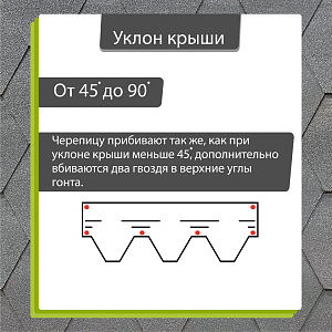 Купить Черника (снято с производства) в Хабаровске