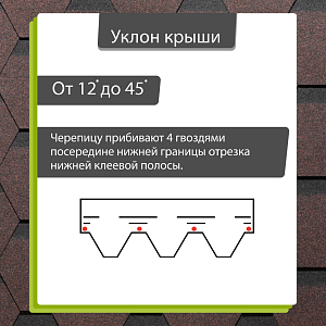 Купить Корица (снято с производства) в Хабаровске