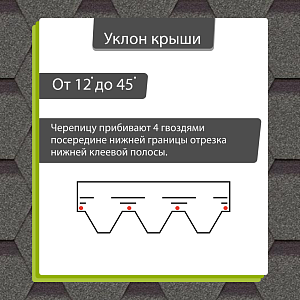 Купить Авокадо в Хабаровске