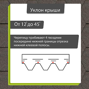 Купить Мокко в Хабаровске