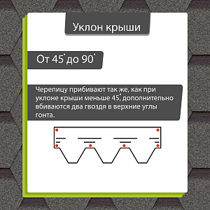 Купить Авокадо в Хабаровске