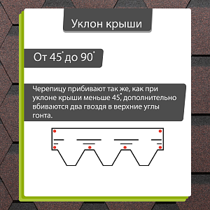 Купить Корица (снято с производства) в Хабаровске