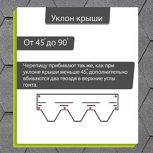 Купить Черника в Хабаровске