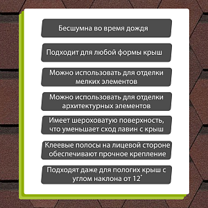 Купить Зрелый каштан в Хабаровске