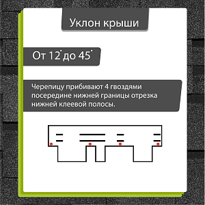 Купить Гибкая черепица Docke PIE PREMIUM Генуя 3м2/уп Ежевика в Хабаровске