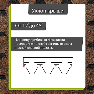 Купить Светло-коричневый в Хабаровске