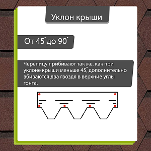 Купить Зрелый каштан в Хабаровске