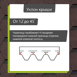 Купить Корица в Хабаровске